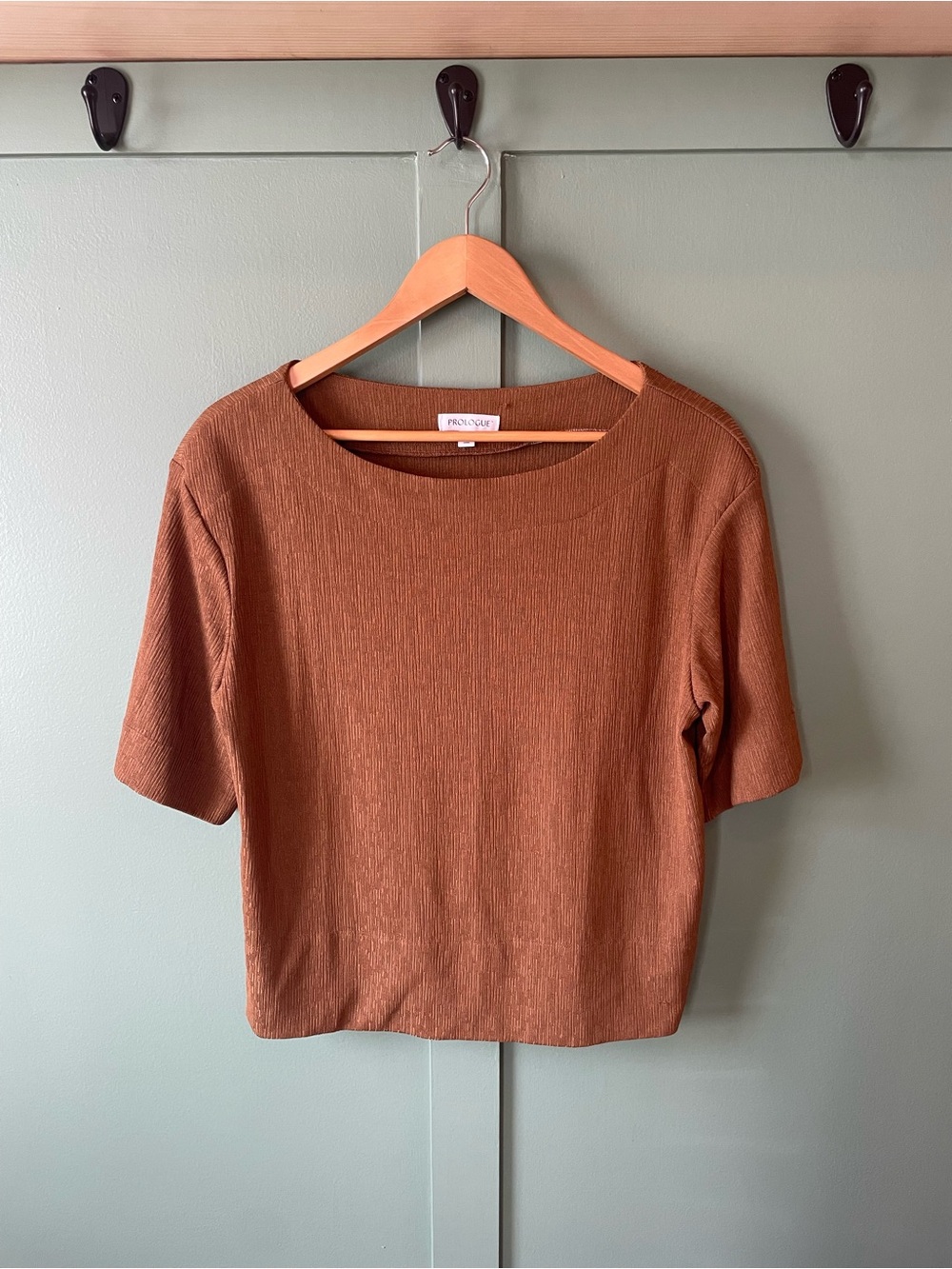 Prologue Short Sleeve Ribbed Top in Rust